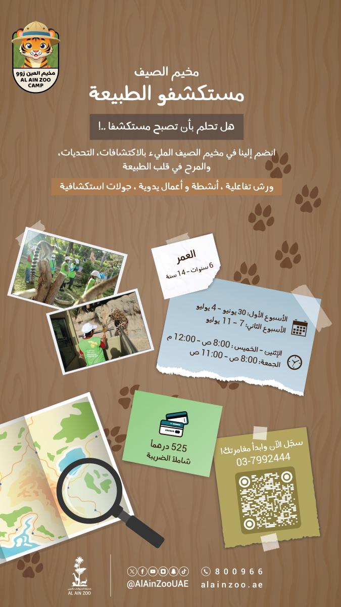 بوب اب 