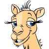 Camel Avatar